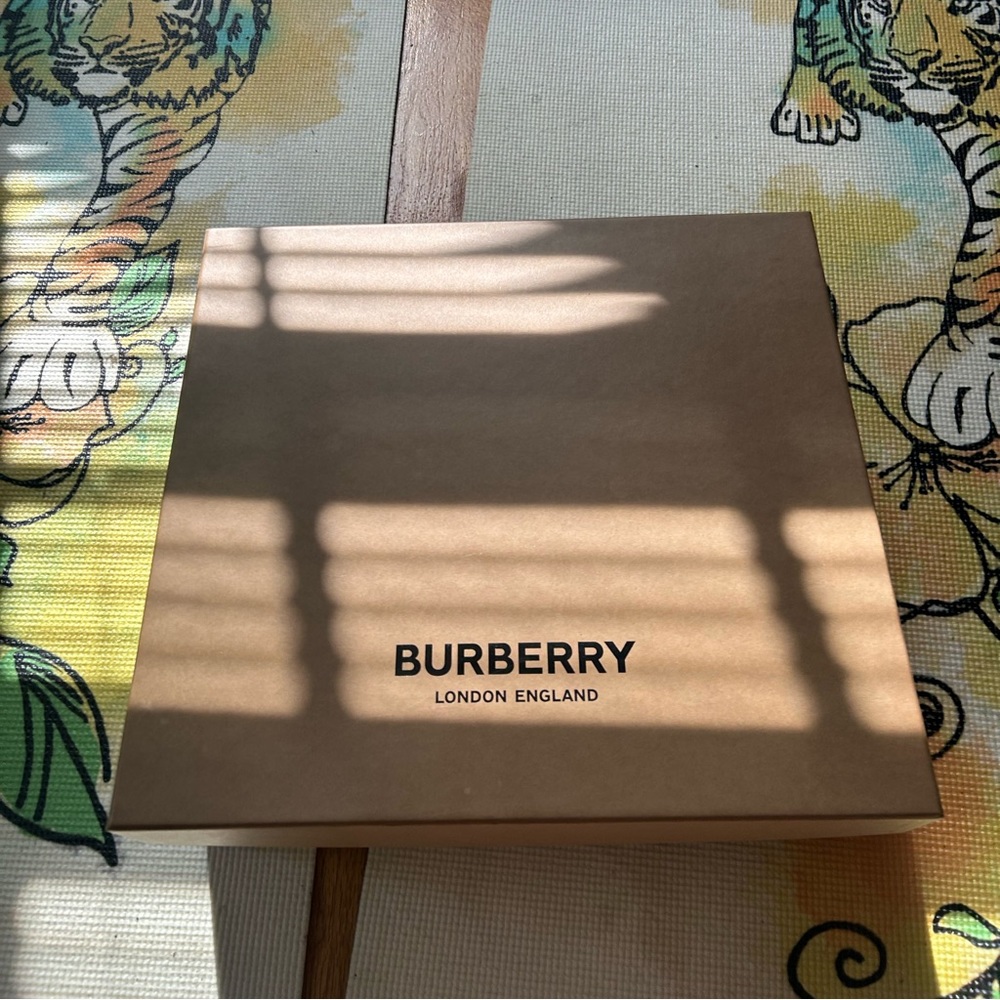 Burberry Chelsea boots